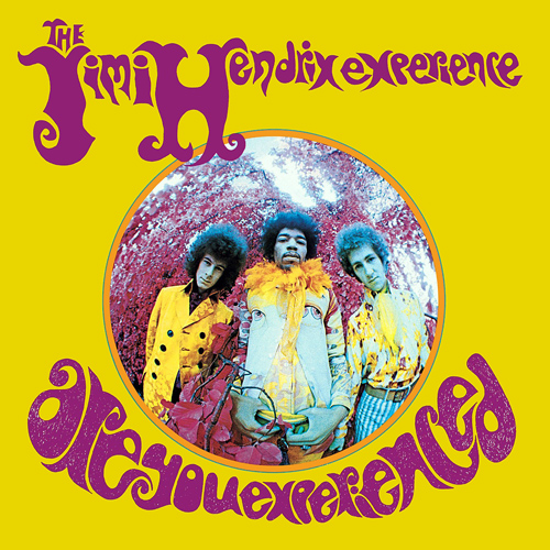 the_jimi_hendrix_experience___are_y_2005697470